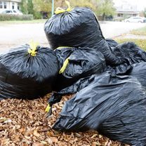 pile-of-dead-collected-leaves-and-bagged-leaves-ready-for-collection-EAKWCK