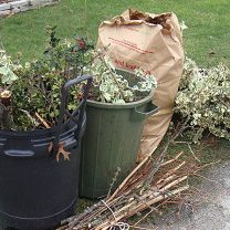 yard-waste-bundles